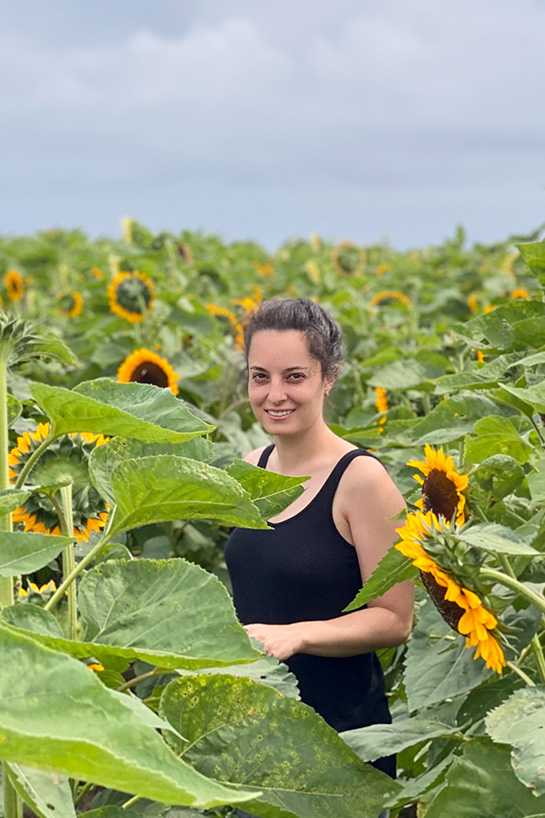 jamie-sunflowers